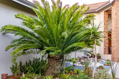 Hilltop Forest Lodge & Chalets - Hluhluwe