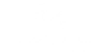 Hilltop Forest Lodge & Chalets - Hluhluwe