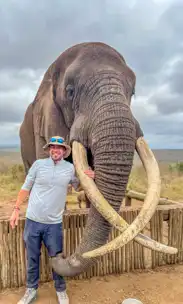 Hilltop Forest Lodge & Chalets - Hluhluwe