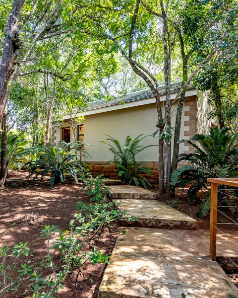 Hilltop Forest Chalets - Hluhluwe